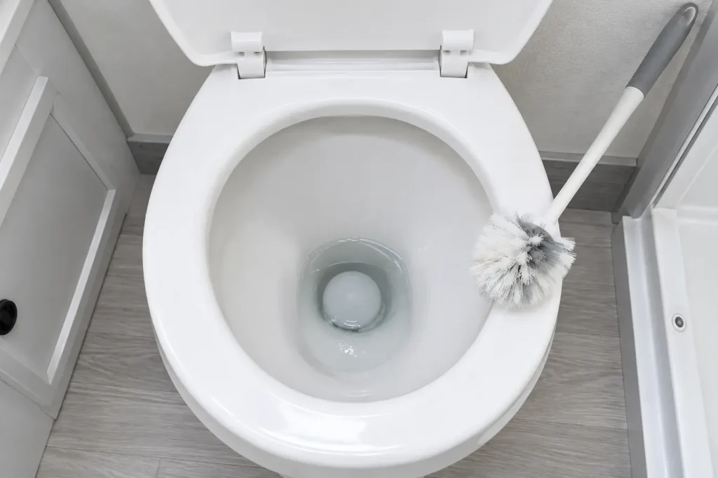 Looking into an RV toilet bowl at the flush ball and seal